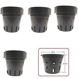 CHẬU NHỰA TRỒNG LAN F16 MÀU ĐEN + Tặng 01 cây dâu da đất
