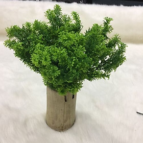 Mua Cây rong rêu giả màu xanh