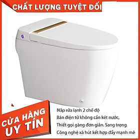 Mua Bồn cầu BÁN ĐIỆN TỬ EBE159
