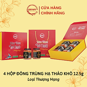 Combo quà tặng đông trùng hạ thảo thượng hạng cordyhappy premium cordyceps