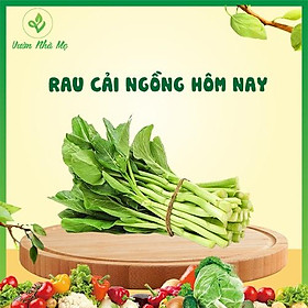 [Giao nội thành Hà Nội] Rau cải ngồng Vườn Nhà Mẹ - 1kg rau cải giàu vitamin, cho cơ thể khỏe mạnh - Rau củ quả tươi, sạ
