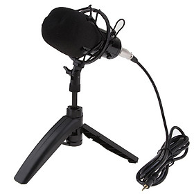 Plug and Play Condenser Microphone, Home Studio Recording Broadcasting Interview Karaoke with Tripod Stand Filter Shield