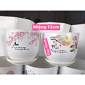 Chậu nhựa trồng cây để bàn xinh xắn rông 13 cm cao 12 cm