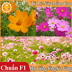 Hạt giống Hoa Cánh Bướm Nhiều Màu ( Gói 100 hạt ) - Nông Sản Vàng