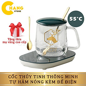 Mua Cốc Hâm Nóng Bằng Thủy Tinh  Ly Thủy Tinh Kèm Đế Điện Hâm Nóng Cafe  Sữa  Trà + Tặng Thìa Mạ Vàng Tiện Lợi