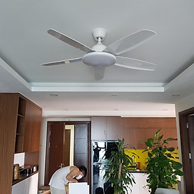 Mua Quạt trần có đèn trang trí  động cơ bằng dây đồng  6 số với điều khiển từ xa  động cơ ĐC tiết kiệm điện