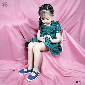 Đầm hoa thêu nổi tiểu thư cho Bé gái