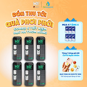 Combo 6 Hộp Kẹo Bạc Hà Không Đường Impact Mints 9g (tặng kèm 6 gói Tempo) 