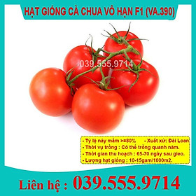 Hạt Giống Cà Chua Vô Hạn - Cà Chua Siêu Năng Suất Gói 100 Hạt