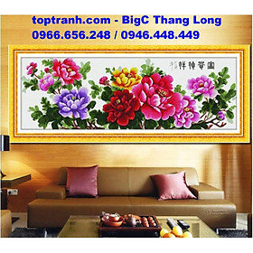 Mua Tranh thêu chữ thập 8 bông hoa mẫu đơn phú quý Z463 chưa thêu