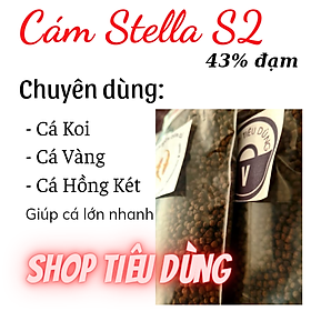 3kg Cám STELLA S2 43% Đạm Nổi Cho Cá Koi , cá vàng 3 đuôi , koi, cá hồng két ,.... tăng trưởng nhanh cám stella