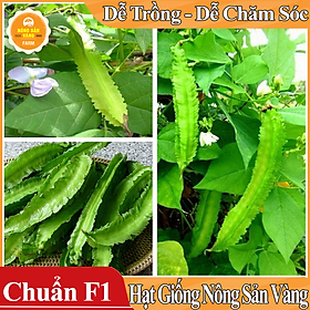 Hạt giống Đậu Rồng ( Gói 10 Gram )