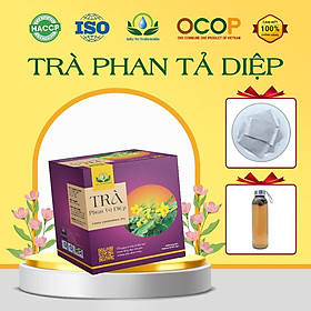 Trà Phan Tả Diệp giúp giảm cân