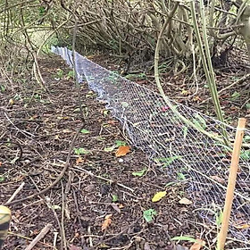 Lưới bẫy rắn 4cm dài 50m, được thắt chống xô 2 đầu, Thắt chống gió bằng sợi dù hoặc sợi etilen