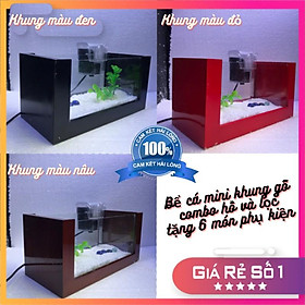 Bể cá mini KHUNG GỖ COMBO HỒ+ LỌC Tặng kèm phụ kiện trang trí