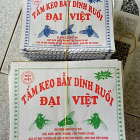 Miếng dán Ruồi Miếng Dính Ruồi Tấm Keo dính Ruồi Siêu Dính Keo dính ruồi ( keo bẫy ruồi )