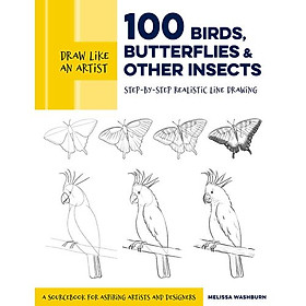 Hình ảnh Draw Like An Artist: 100 Birds, Butterflies, And Other Insects