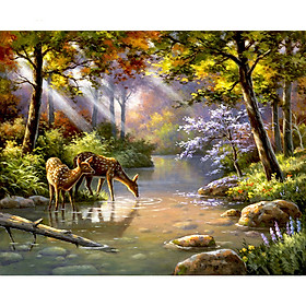 Mua Tranh sơn dầu số hoá tự tô có khung đã căn 40x50 cm- Đôi nai