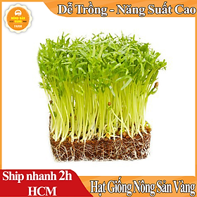 Hạt giống Rau Mầm Rau Muống