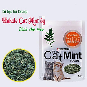 Cỏ bạc hà catnip cho mèo gói 5g