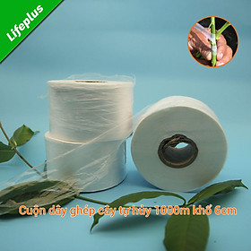 Mua Băng kéo ghép cây tự hủy khổ 6cm x 1.000m  băng keo ghép cây chuyện dụng tự dính chống khuẩn  kín nước
