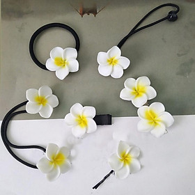 Sét 5 sản phẩm kẹp tóc và dây buộc tóc hoa sứ dễ thương KAH134