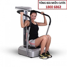 Máy rung toàn thân Kingsport Body Crazy Fit