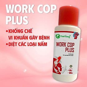 Chuyên diệt các loại nấm gây lở loét trên cá - WORK COP PLUS