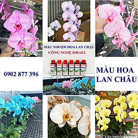 Thuốc Nhuộm Hoa Lan Chậu Hồ Điệp Trồng Chậu Công Nghệ Israel (chai 100ml) đặc biệt dùng nhuộm đổi màu hoa lan chậu Hồ Điệp tại vườn