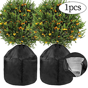 Winter Plant Frost Cover Durable for Outdoor Plants Small Tree Potted Plants