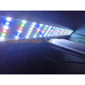 Đèn led WRGB 6 hàng siêu sáng thế hệ mới - đèn led thuỷ sinh các size