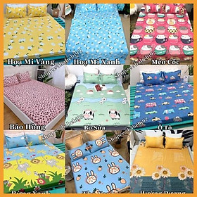Mua Hàng Auth- 1 Vỏ gối trẻ em màu ngẫu nhiên
