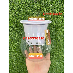 3 Chậu nhựa trồng cây thủy sinh, thủy canh bằng nhựa trong suốt ( 11* 12 cm) MÃ 6110