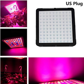 300W LED Grow Light Lamp with UV&IR for Greenhouse Hydroponic Indoor Plants of Growth Stage