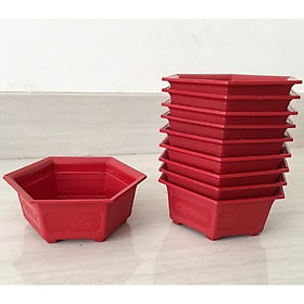 Combo 5 chậu nhựa lục giác miệng 28cm