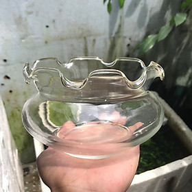 Bể cá mini - chậu cá để bàn - B16-B17-B18 bể cá tròn