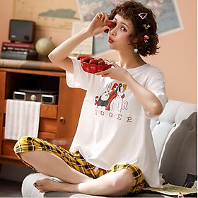 Đồ mặc nhà cotton chất lượng - quần sọc caro