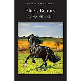 Nơi bán Black Beauty - Giá Từ -1đ