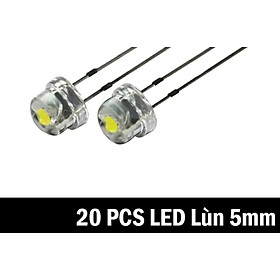 Mua 20 đèn led màu sáng trắng