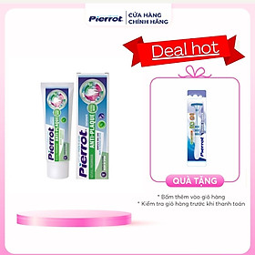[Tặng Cạo lưỡi ] Kem đánh răng chống hình thành mảng bám Pierrot 75ml