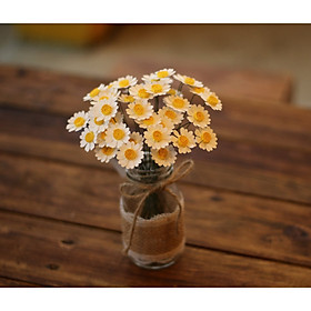 Mua Lọ Cúc Trắng Mini Decor