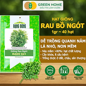Mua Hạt Giống Rau Bồ Ngót Greenhome  Gói 0 5g  Dễ Trồng Quanh Năm  Nảy Mầm Cao  Thu Hoạch Nhanh  Năng Suất Cao R18