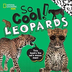 Sách - So Cool! Leopards by National Geographic Kids (US edition, hardcover)