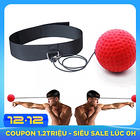 Bóng Phản Xạ Treo Đầu miDoctor - Bóng Phản Xạ Chính Hãng