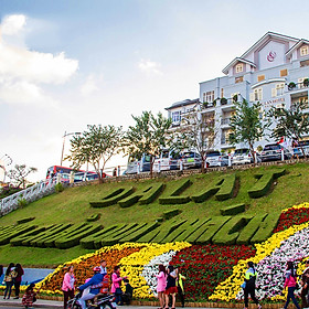 Tour Đà Lạt 3N3Đ Cổng Trời - Que Garden - Làng Cổ Tích - Nông Trại Cún - Đồi Chè Cầu Đất - LangBiang - Mê Linh Coffee - Cồng Chiêng Tây Nguyên, Khởi Hành Tối Thứ 5 Hàng Tuần & Dịp Lễ Tết