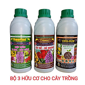 Bộ ba hữu cơ rất tốt cho Lan và cây trồng - Powerfeed - Seasol - orghum chai 1 lít