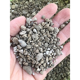 Mua ĐÁ PUMICE TRỒNG CÂY CẢNH SEN ĐÁ XƯƠNG RỒNG TÚI 500G13K
