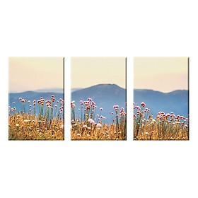 Bộ 3 Tranh Canvas "Đồng Hoa Dại"- W119