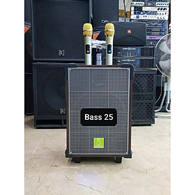 Mua Loa kéo Karaoke Bluetooth SOK NE-338: Phiên bản 2022  Bass 25  Có 2 Micro không dây đi kèm
