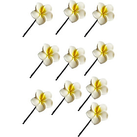 Sét cặp ghim đính hoa sứ dễ thương (KAH134)